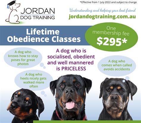 dog obedience training schools